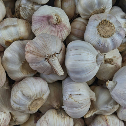 Lemon Garlic Herb Seasoning - Shaker