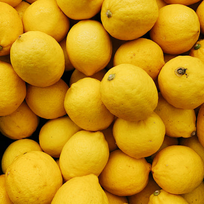 Lemon Garlic Herb Seasoning - Shaker