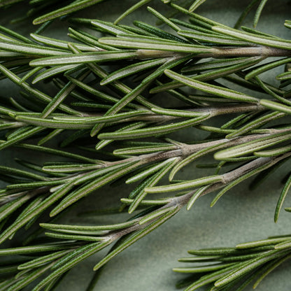 Lemon Garlic Herb Seasoning - Shaker