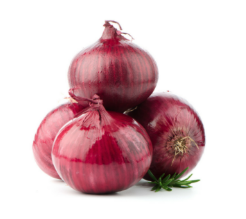 organic red onion in kung fu tonic